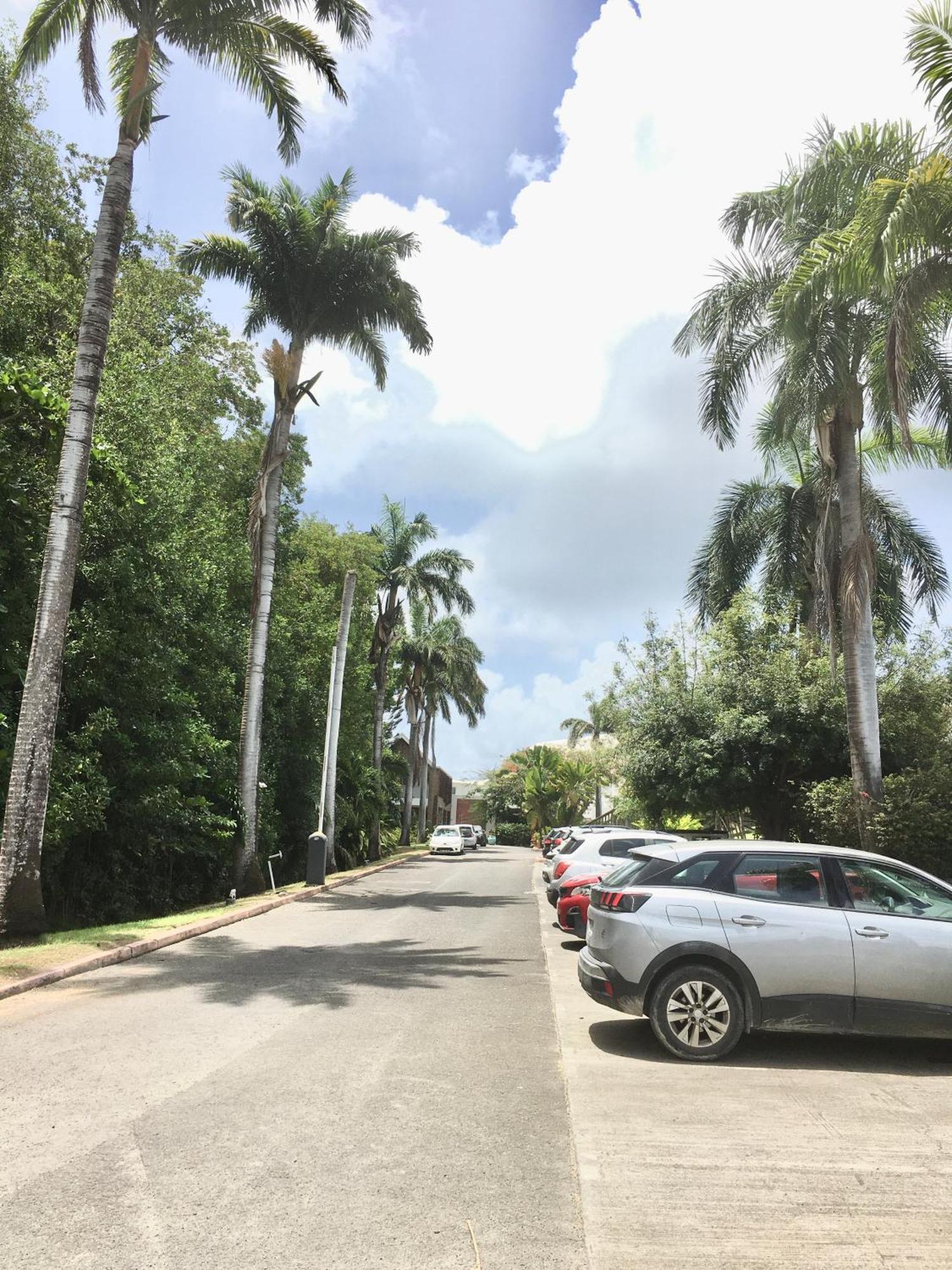 סן-פרנסואה Appartement St Francois Manganao Guadeloupe מראה חיצוני תמונה