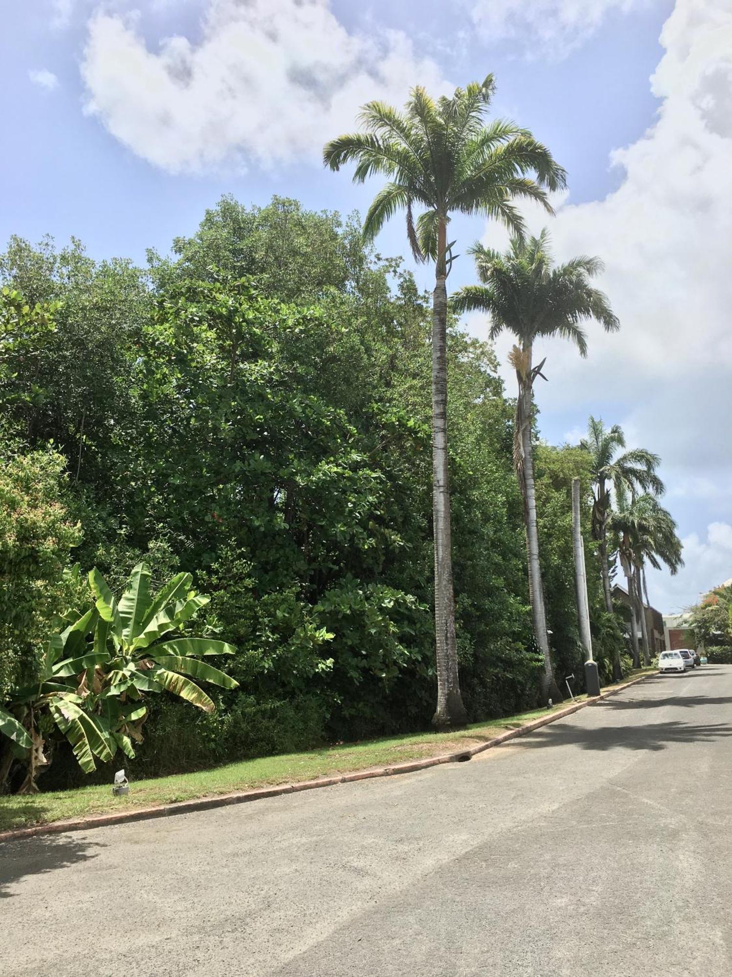 סן-פרנסואה Appartement St Francois Manganao Guadeloupe מראה חיצוני תמונה